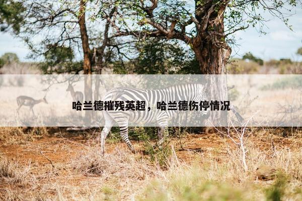 哈兰德摧残英超，哈兰德伤停情况