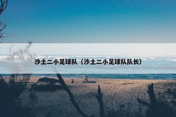 沙土二小足球队（沙土二小足球队队长）
