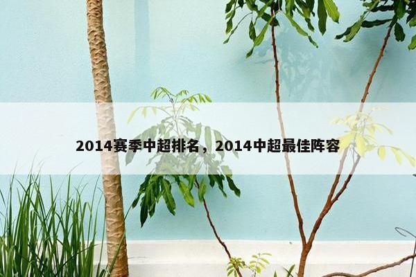 2014赛季中超排名，2014中超最佳阵容