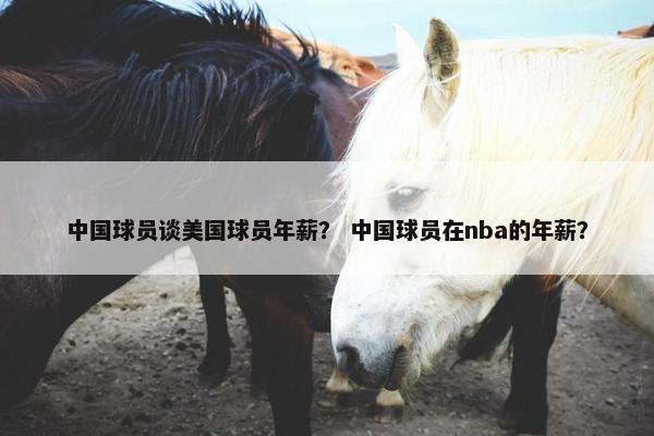 中国球员谈美国球员年薪？ 中国球员在nba的年薪？
