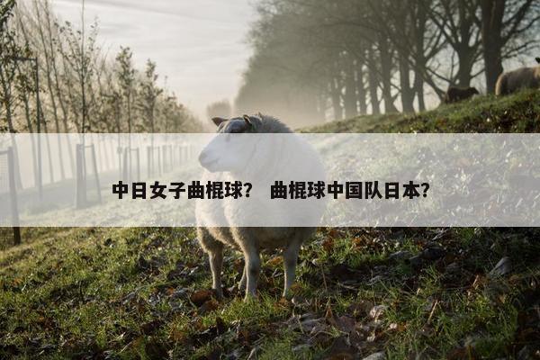 中日女子曲棍球？ 曲棍球中国队日本？
