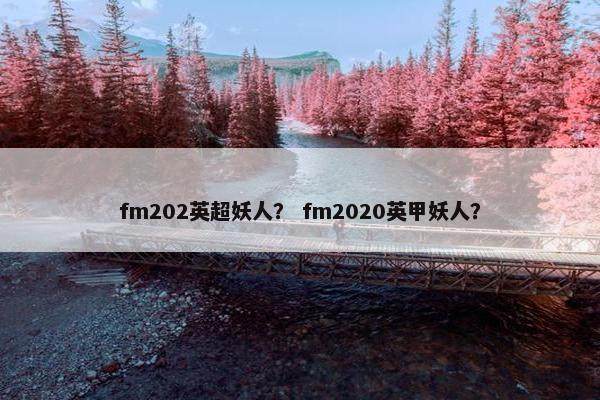 fm202英超妖人？ fm2020英甲妖人？