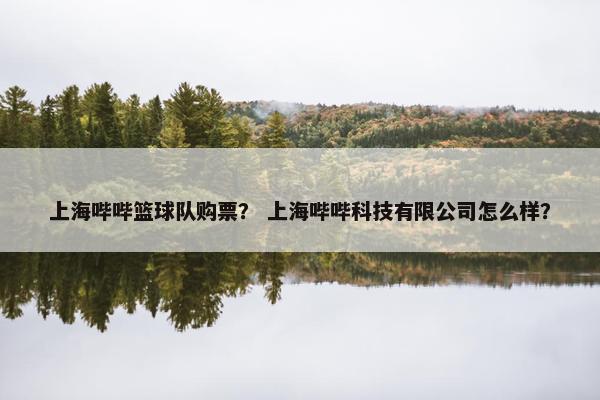 上海哔哔篮球队购票？ 上海哔哔科技有限公司怎么样？