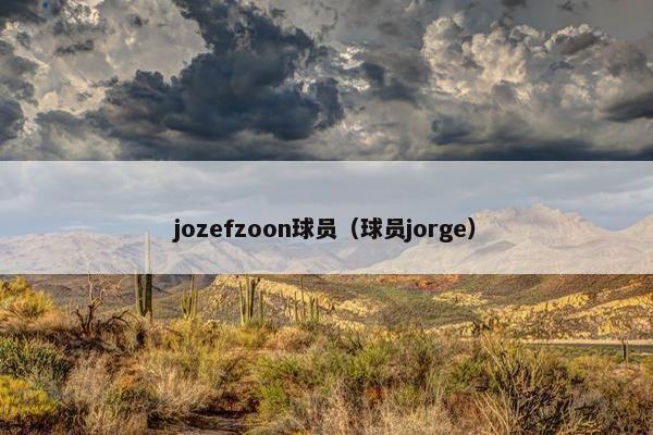 jozefzoon球员（球员jorge）