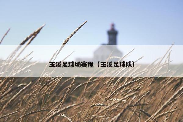玉溪足球场赛程（玉溪足球队）