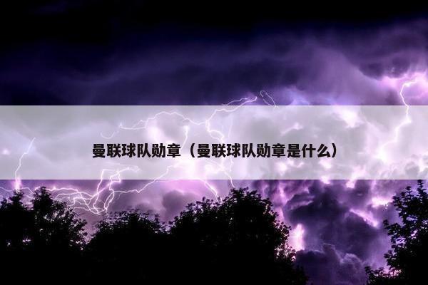 曼联球队勋章（曼联球队勋章是什么）