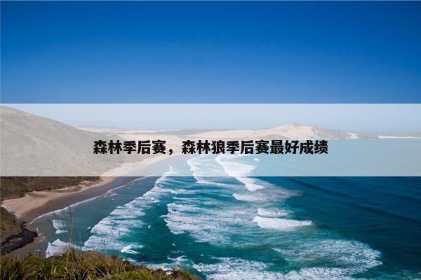 森林季后赛，森林狼季后赛最好成绩
