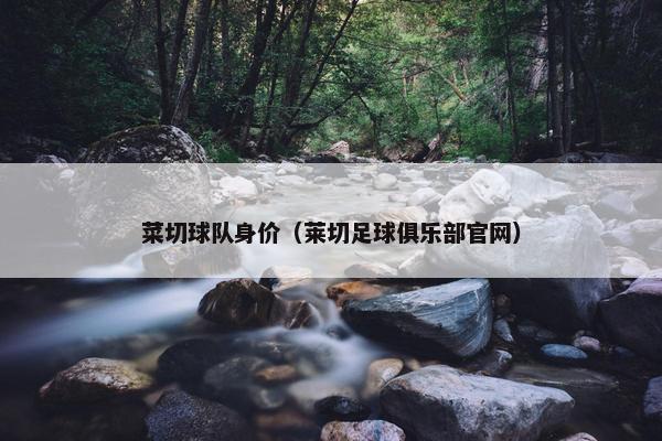 菜切球队身价（莱切足球俱乐部官网）