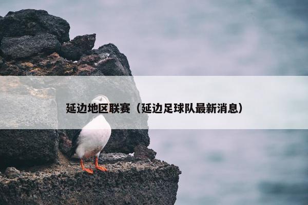 延边地区联赛（延边足球队最新消息）