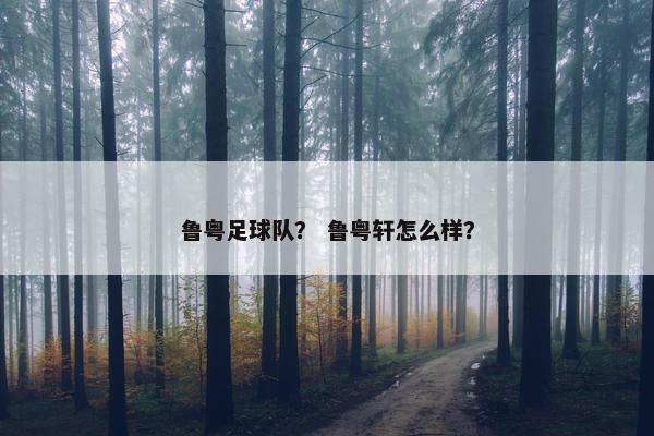 鲁粤足球队？ 鲁粤轩怎么样？