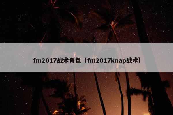 fm2017战术角色（fm2017knap战术）