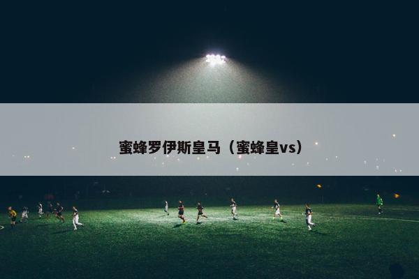 蜜蜂罗伊斯皇马（蜜蜂皇vs）