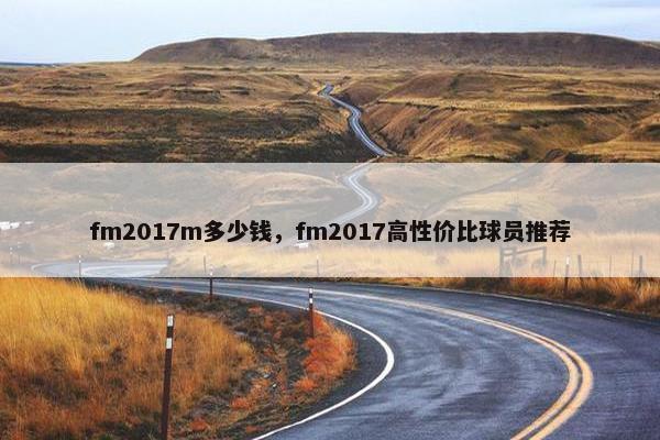 fm2017m多少钱，fm2017高性价比球员推荐