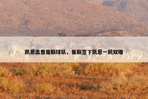 凯恩出售曼联球队，曼联签下凯恩一箭双雕