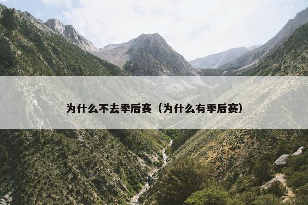 为什么不去季后赛（为什么有季后赛）
