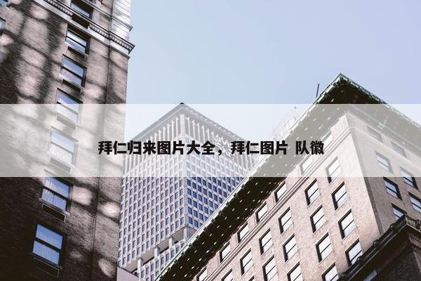 拜仁归来图片大全，拜仁图片 队徽