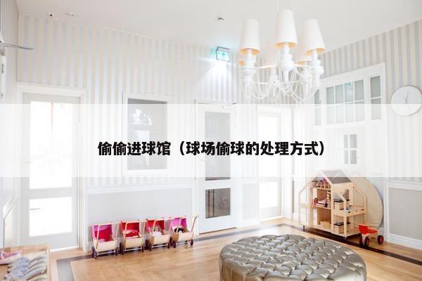 偷偷进球馆（球场偷球的处理方式）