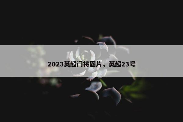 2023英超门将图片，英超23号