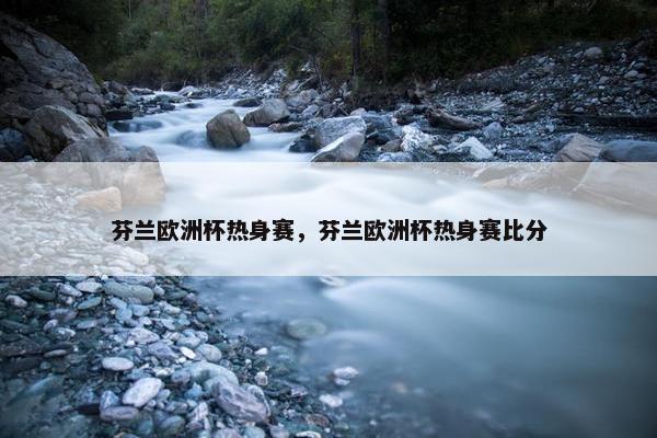 芬兰欧洲杯热身赛，芬兰欧洲杯热身赛比分