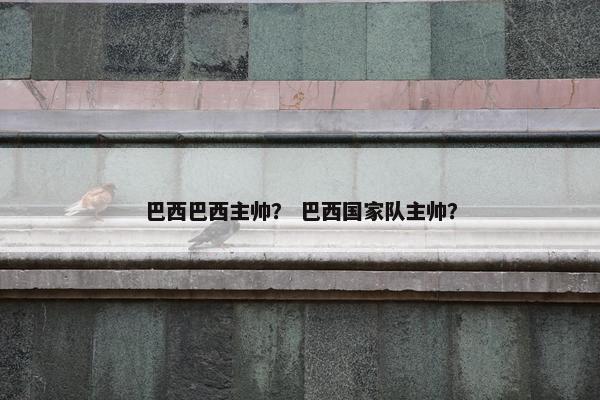 巴西巴西主帅？ 巴西国家队主帅？