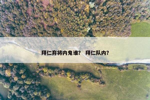 拜仁弃将内鬼谁？ 拜仁队内？