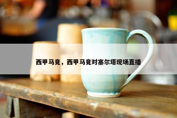 西甲马竟，西甲马竟对塞尔塔现场直播