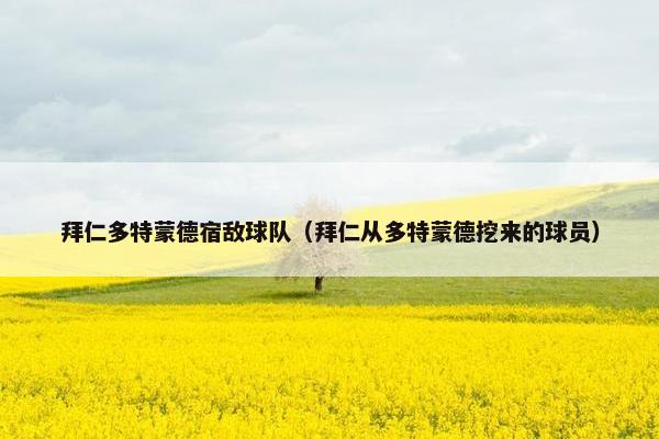 拜仁多特蒙德宿敌球队（拜仁从多特蒙德挖来的球员）