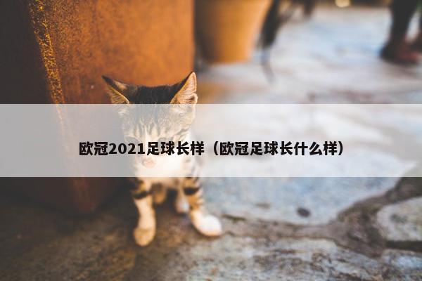 欧冠2021足球长样（欧冠足球长什么样）