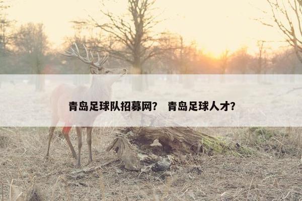 青岛足球队招募网？ 青岛足球人才？