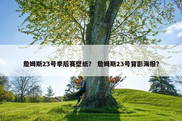 詹姆斯23号季后赛壁纸？ 詹姆斯23号背影海报？