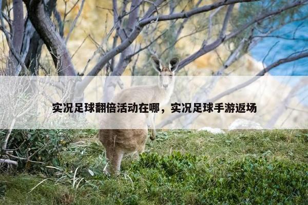 实况足球翻倍活动在哪，实况足球手游返场