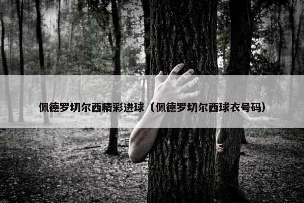 佩德罗切尔西精彩进球（佩德罗切尔西球衣号码）