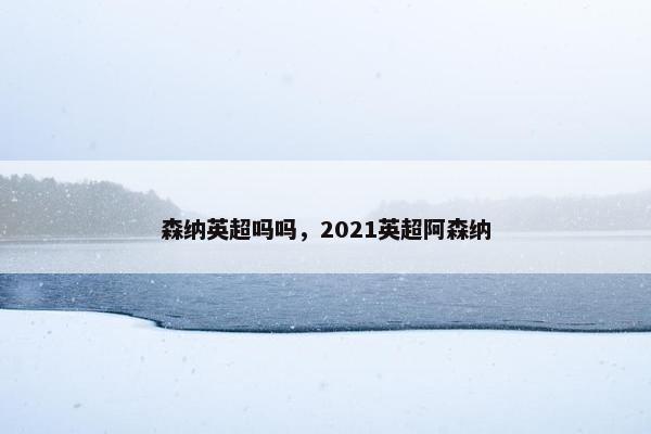森纳英超吗吗，2021英超阿森纳