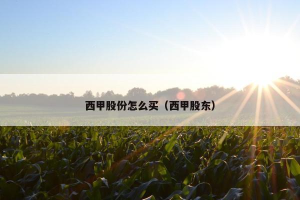 西甲股份怎么买（西甲股东）
