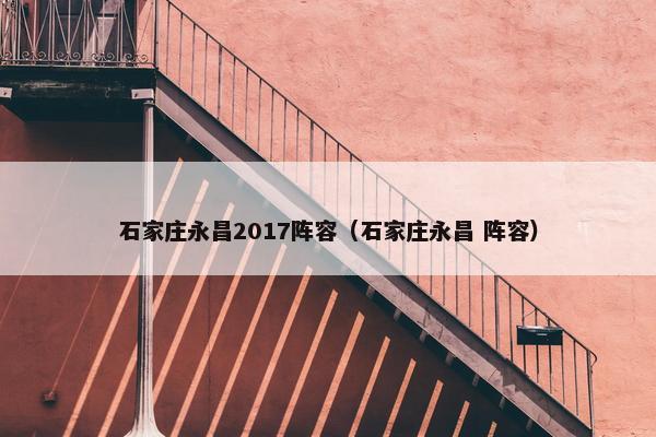 石家庄永昌2017阵容（石家庄永昌 阵容）