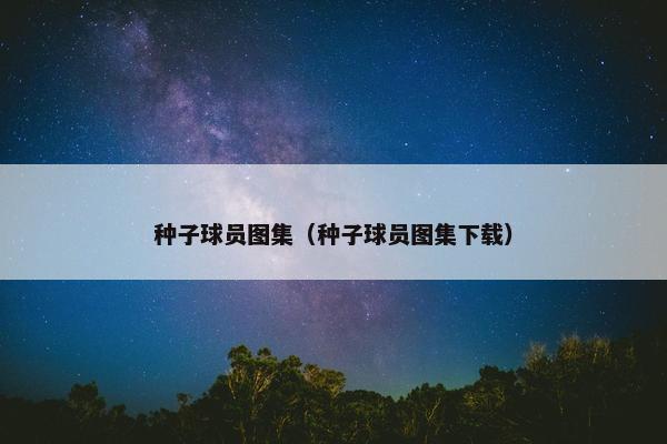 种子球员图集（种子球员图集下载）