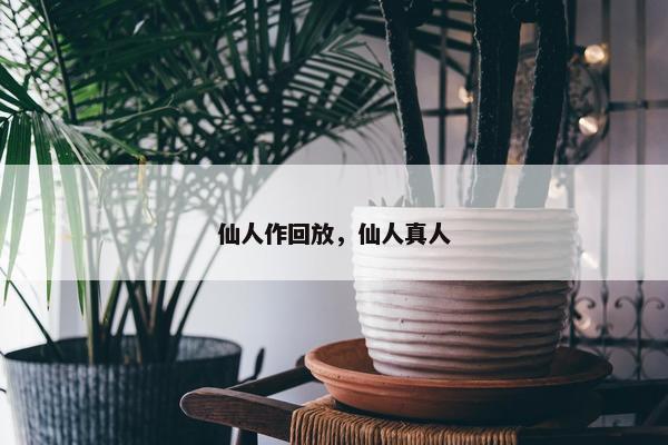 仙人作回放，仙人真人