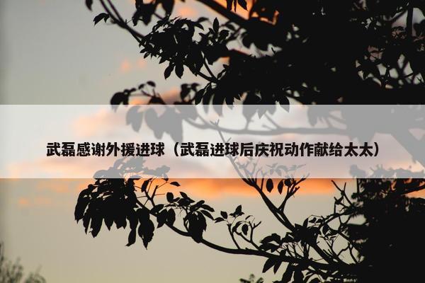 武磊感谢外援进球（武磊进球后庆祝动作献给太太）