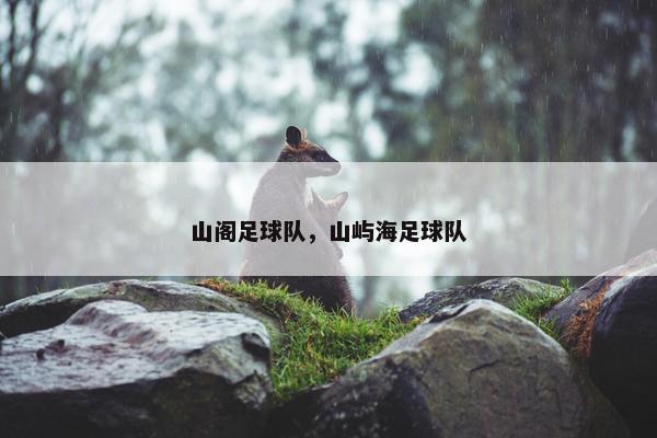 山阁足球队，山屿海足球队