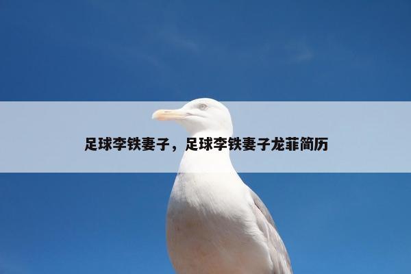 足球李铁妻子，足球李铁妻子龙菲简历