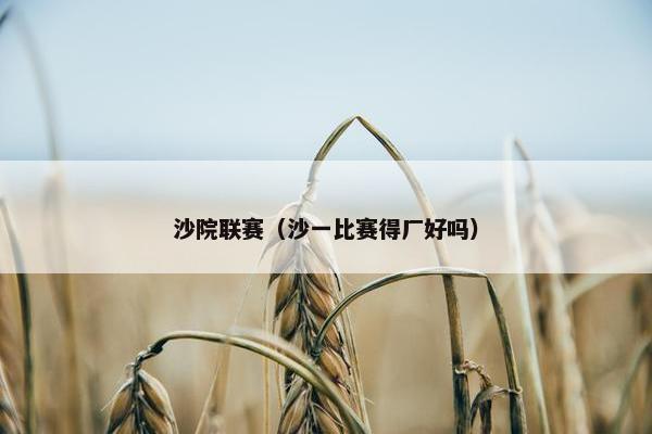沙院联赛（沙一比赛得厂好吗）
