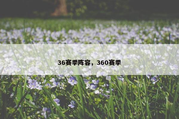36赛季阵容，360赛季