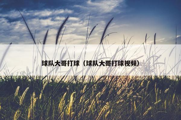 球队大哥打球（球队大哥打球视频）