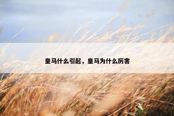 皇马什么引起，皇马为什么厉害