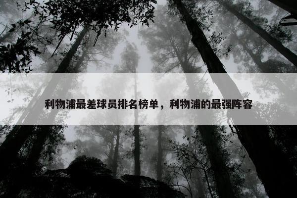 利物浦最差球员排名榜单，利物浦的最强阵容