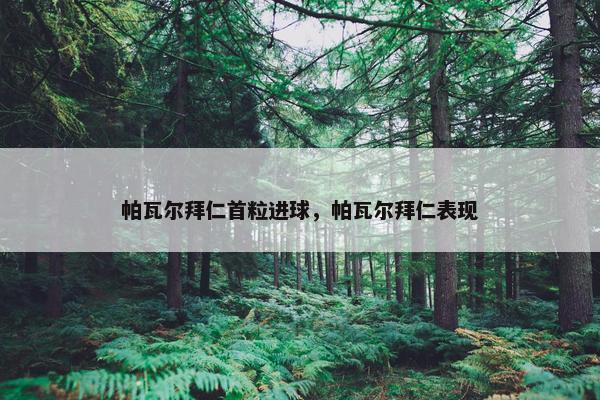 帕瓦尔拜仁首粒进球，帕瓦尔拜仁表现