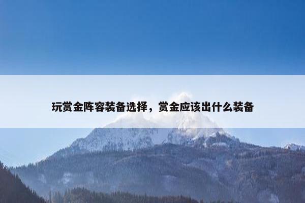 玩赏金阵容装备选择，赏金应该出什么装备