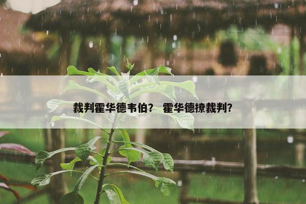 裁判霍华德韦伯？ 霍华德撩裁判？