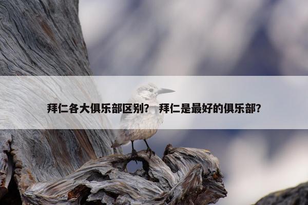 拜仁各大俱乐部区别？ 拜仁是最好的俱乐部？