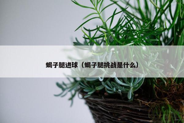 蝎子腿进球（蝎子腿挑战是什么）